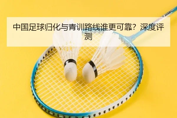 中国足球归化与青训路线谁更可靠？深度评测